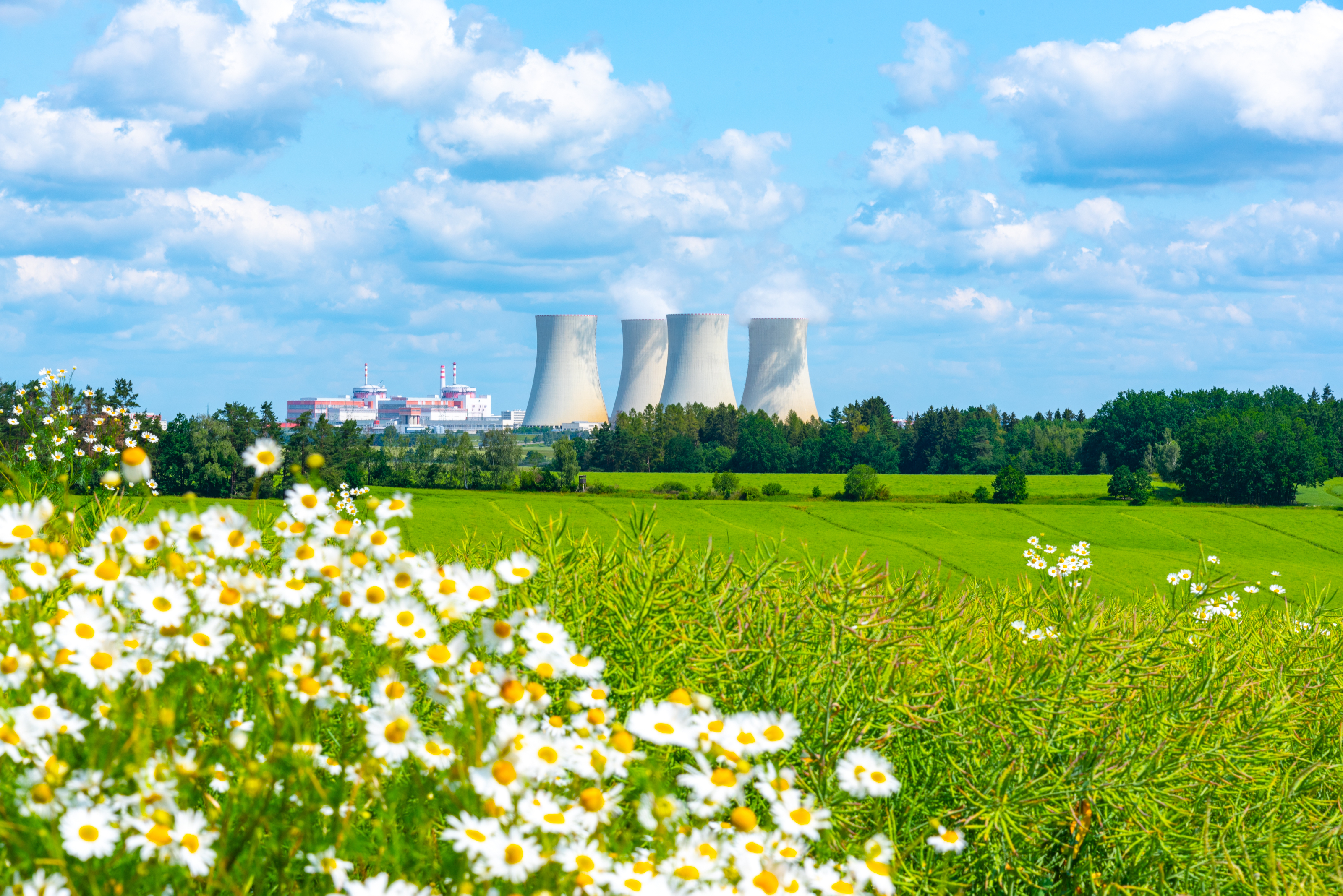 Nuclear power plant on the background of beautiful green and blooming summer meadow 1828285940